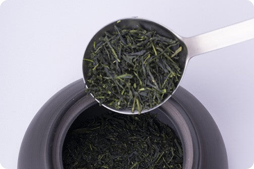 Tokoname-yaki Kyusu - Wide opening allows you to easily add leaves.