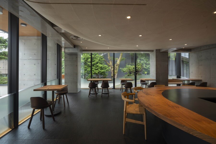Warmly lit light tan Ippodo Tea storefront in New York City with large window and concrete planter of green foliage ouside