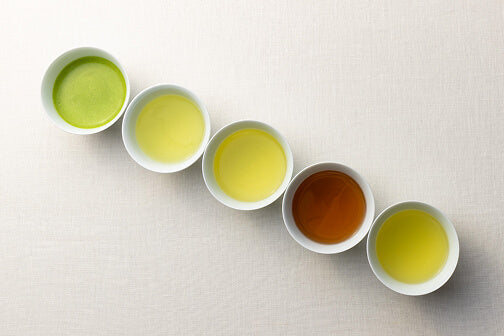 Porcelain teacup - Serve any tea beautifully.